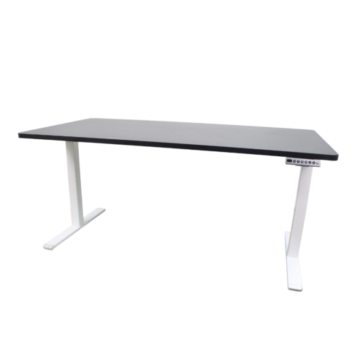 1600x800mm Dual Motor Electric Standing Desk | Executive XL Ergonomic Workstation – Black