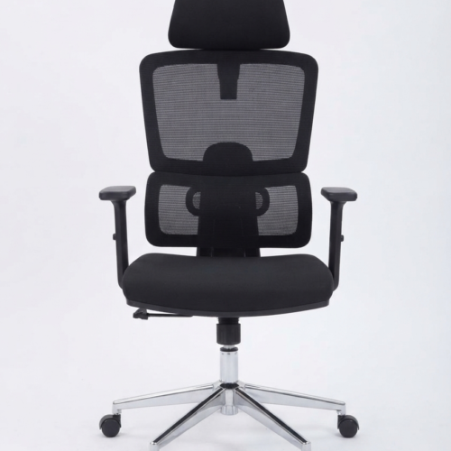 Orthopedic High-Back Ergonomic Mesh Office Chair